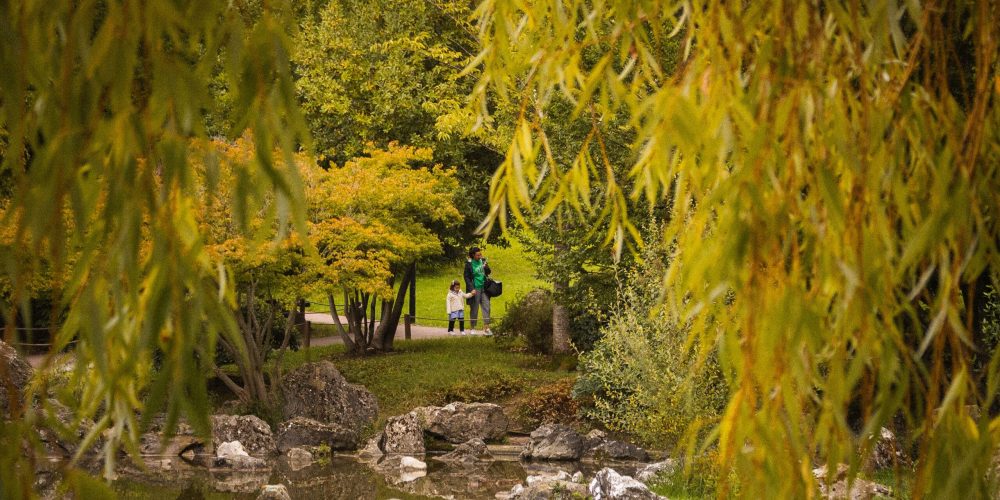 Naturaleza_yamaguchi_Pamplona_parque Naturaleza_yamaguchi_Pamplona_parque